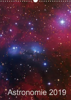 Kai Wiechen | Astronomie 2019 (Wandkalender 2019 DIN A3 hoch) | Sonstiges | 978-3-669-57029-9 | www.sack.de
