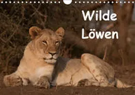 Ohm |  Wilde Löwen (Wandkalender 2019 DIN A4 quer) | Sonstiges |  Sack Fachmedien