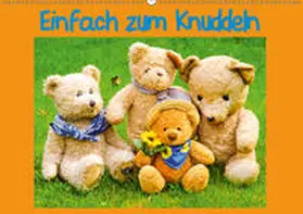 Sigwarth | Einfach zum Knuddeln / CH - Version (Wandkalender 2019 DIN A2 quer) | Sonstiges | 978-3-669-57288-0 | www.sack.de