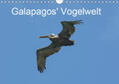 und Eva Schuster / Schuster |  Galapagos' Vogelwelt (Wandkalender 2019 DIN A4 quer) | Sonstiges |  Sack Fachmedien