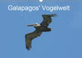 und Eva Schuster / Schuster |  Galapagos' Vogelwelt (Wandkalender 2019 DIN A3 quer) | Sonstiges |  Sack Fachmedien