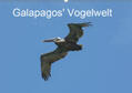 und Eva Schuster / Schuster |  Galapagos' Vogelwelt (Wandkalender 2019 DIN A2 quer) | Sonstiges |  Sack Fachmedien