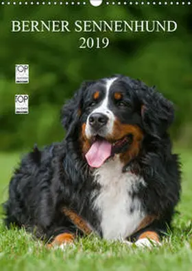 Starick | Berner Sennenhund 2019 (Wandkalender 2019 DIN A3 hoch) | Sonstiges | 978-3-669-57937-7 | www.sack.de