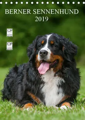 Starick |  Berner Sennenhund 2019 (Tischkalender 2019 DIN A5 hoch) | Sonstiges |  Sack Fachmedien