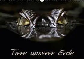 Lehmann | Tiere unserer Erde (Wandkalender 2019 DIN A3 quer) | Sonstiges | 978-3-669-58166-0 | www.sack.de
