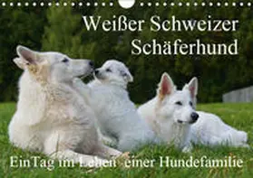 Starick |  Weißer Schweizer Schäferhund - Ein Tag im Leben einer Hundefamilie (Wandkalender 2019 DIN A4 quer) | Sonstiges |  Sack Fachmedien