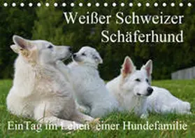 Starick |  Weißer Schweizer Schäferhund - Ein Tag im Leben einer Hundefamilie (Tischkalender 2019 DIN A5 quer) | Sonstiges |  Sack Fachmedien