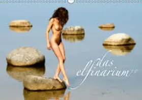 Dombrow |  Das Elfinarium 1.0 (Wandkalender 2019 DIN A3 quer) | Sonstiges |  Sack Fachmedien