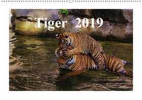 Hennig | Tiger  2019 (Wandkalender 2019 DIN A2 quer) | Sonstiges | 978-3-669-59030-3 | sack.de