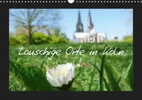 Olschner | Lauschige Orte in Köln (Wandkalender 2019 DIN A3 quer) | Sonstiges | 978-3-669-59655-8 | www.sack.de