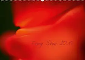 Jordan |  Feng Shui 2019 / Geburtstagskalender (Wandkalender 2019 DIN A2 quer) | Sonstiges |  Sack Fachmedien