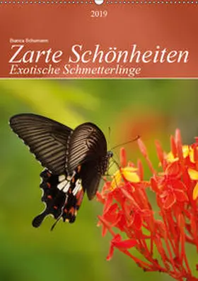 Schumann |  Zarte Schönheiten Exotische Schmetterlinge / Planer (Wandkalender 2019 DIN A2 hoch) | Sonstiges |  Sack Fachmedien