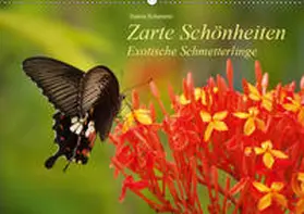 Schumann |  Zarte Schönheiten Exotische Schmetterlinge (Wandkalender 2019 DIN A2 quer) | Sonstiges |  Sack Fachmedien
