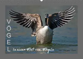 Henry |  VÖGEL (Wandkalender 2019 DIN A2 quer) | Sonstiges |  Sack Fachmedien