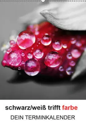 Kaden |  schwarz/weiß trifft farbe - DEIN TERMINKALENDER / Planer (Wandkalender 2019 DIN A2 hoch) | Sonstiges |  Sack Fachmedien