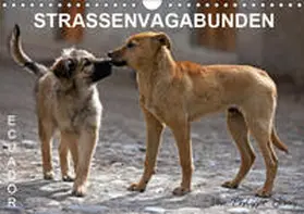Henry | STRASSENVAGABUNDEN (Wandkalender 2019 DIN A4 quer) | Sonstiges | 978-3-669-62981-2 | www.sack.de