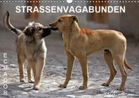 Henry | STRASSENVAGABUNDEN (Wandkalender 2019 DIN A3 quer) | Sonstiges | 978-3-669-62982-9 | www.sack.de