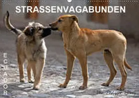 Henry |  STRASSENVAGABUNDEN (Wandkalender 2019 DIN A2 quer) | Sonstiges |  Sack Fachmedien