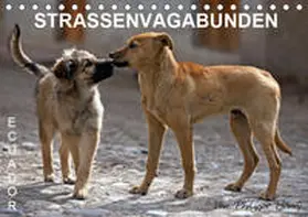 Henry | STRASSENVAGABUNDEN (Tischkalender 2019 DIN A5 quer) | Sonstiges | 978-3-669-62984-3 | www.sack.de