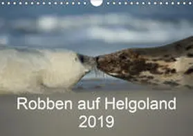 Leimer |  Robben auf Helgoland 2019CH-Version  (Wandkalender 2019 DIN A4 quer) | Sonstiges |  Sack Fachmedien