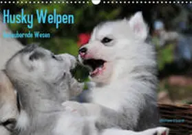 Ebardt |  Husky Welpen (Wandkalender 2019 DIN A3 quer) | Sonstiges |  Sack Fachmedien
