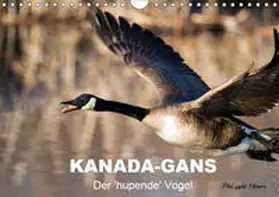 Henry |  KANADA-GANS - Der 'hupende' Vogel (Wandkalender 2019 DIN A4 quer) | Sonstiges |  Sack Fachmedien
