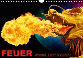 Stanzer |  Feuer . Wärme, Licht & Gefahr (Wandkalender 2019 DIN A4 quer) | Sonstiges |  Sack Fachmedien