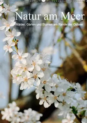 Schneekloth |  Natur am Meer - Wälder, Gärten und Blumen am Rande der Ostsee (Wandkalender 2019 DIN A2 hoch) | Sonstiges |  Sack Fachmedien