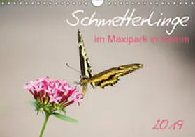 Gimpel |  Schmetterlinge im Maxipark in Hamm (Wandkalender 2019 DIN A4 quer) | Sonstiges |  Sack Fachmedien