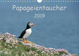 Leimer |  Papageientaucher 2019CH-Version  (Wandkalender 2019 DIN A4 quer) | Sonstiges |  Sack Fachmedien