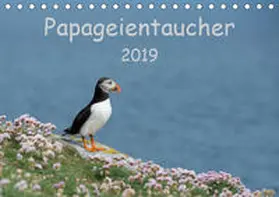 Leimer |  Papageientaucher 2019CH-Version  (Tischkalender 2019 DIN A5 quer) | Sonstiges |  Sack Fachmedien