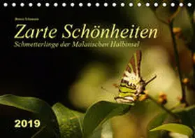 Schumann |  Zarte Schönheiten Schmetterlinge der Malaiischen Halbinsel (Tischkalender 2019 DIN A5 quer) | Sonstiges |  Sack Fachmedien