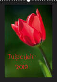 Müller |  Tulpenjahr (Wandkalender 2019 DIN A3 hoch) | Sonstiges |  Sack Fachmedien