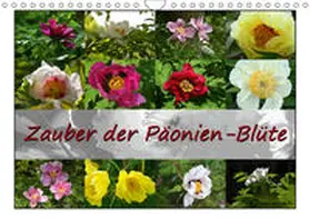 Reiter |  Zauber der Päonien-Blüte (Wandkalender 2019 DIN A4 quer) | Sonstiges |  Sack Fachmedien
