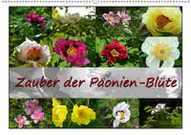 Reiter |  Zauber der Päonien-Blüte (Wandkalender 2019 DIN A2 quer) | Sonstiges |  Sack Fachmedien