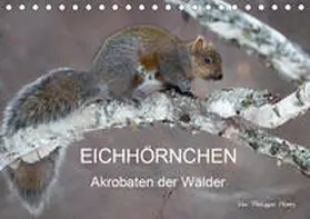 Henry |  EICHHÖRNCHEN (Tischkalender 2019 DIN A5 quer) | Sonstiges |  Sack Fachmedien