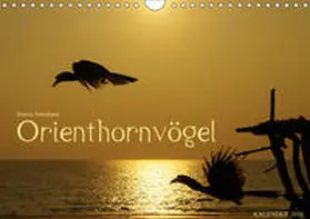 Schumann | Orienthornvögel (Wandkalender 2019 DIN A4 quer) | Sonstiges | 978-3-669-65115-8 | www.sack.de