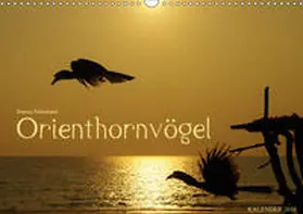 Schumann | Orienthornvögel (Wandkalender 2019 DIN A3 quer) | Sonstiges | 978-3-669-65116-5 | www.sack.de