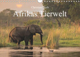 Heeb |  Afrikas Tierwelt Christian Heeb (Wandkalender 2019 DIN A4 quer) | Sonstiges |  Sack Fachmedien
