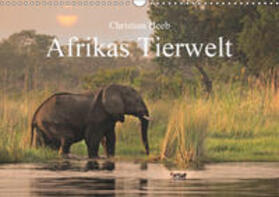Heeb |  Afrikas Tierwelt Christian Heeb (Wandkalender 2019 DIN A3 quer) | Sonstiges |  Sack Fachmedien