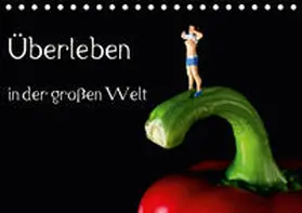 Rochow |  Überleben in der großen Welt - HO Figuren (Tischkalender 2019 DIN A5 quer) | Sonstiges |  Sack Fachmedien