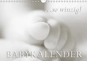 W. Lambrecht |  ...so winzig - Babykalender (Wandkalender 2019 DIN A4 quer) | Sonstiges |  Sack Fachmedien