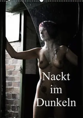 Lee |  Nackt im Dunkeln / 2019 (Wandkalender 2019 DIN A2 hoch) | Sonstiges |  Sack Fachmedien