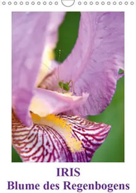 Haas | Iris, Blume des Regenbogens (Wandkalender 2019 DIN A4 hoch) | Sonstiges | 978-3-669-65520-0 | www.sack.de