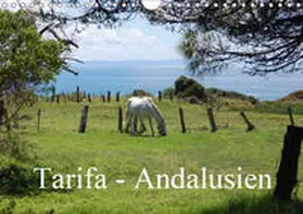 Peitz |  Tarifa - Andalusien (Wandkalender 2019 DIN A4 quer) | Sonstiges |  Sack Fachmedien