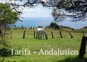 Peitz |  Tarifa - Andalusien (Wandkalender 2019 DIN A2 quer) | Sonstiges |  Sack Fachmedien