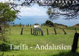 Peitz |  Tarifa - Andalusien (Tischkalender 2019 DIN A5 quer) | Sonstiges |  Sack Fachmedien