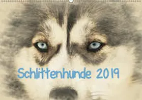 Redecker | Schlittenhunde 2019 (Wandkalender 2019 DIN A2 quer) | Sonstiges | 978-3-669-65864-5 | www.sack.de