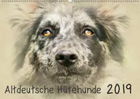 Redecker |  Altdeutsche Hütehunde 2019 (Wandkalender 2019 DIN A2 quer) | Sonstiges |  Sack Fachmedien