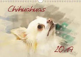 Redecker |  Chihuahuas 2019 (Wandkalender 2019 DIN A4 quer) | Sonstiges |  Sack Fachmedien